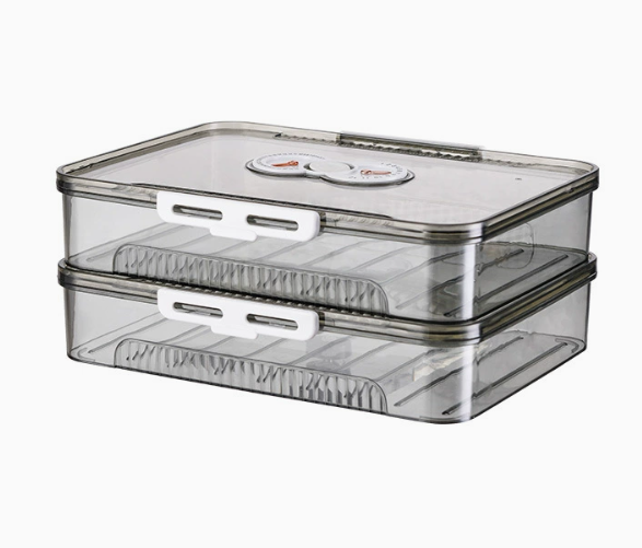 Transparent Dumpling Storage Box