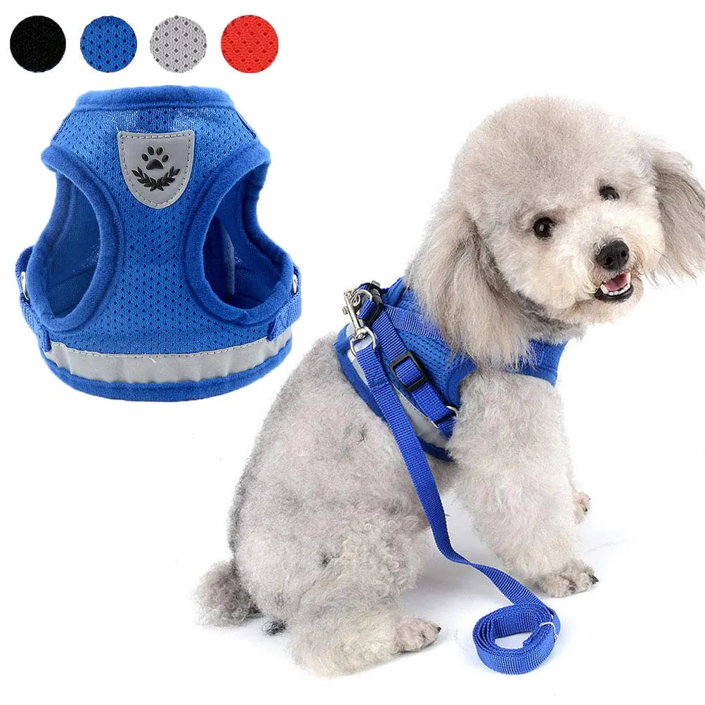 Dog Harness for Small Sized Dogs No Pull Puppy Harness and Leash Set Adjustable Reflective Step-in Vest Harness Soft Mesh Escape Proof Cat Harness for Walking for Girl Boy Pet Kittens Blue M