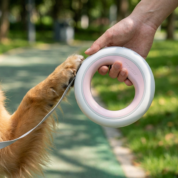 Kluck AI Happy Customer Image 33